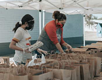Non-profit organizations